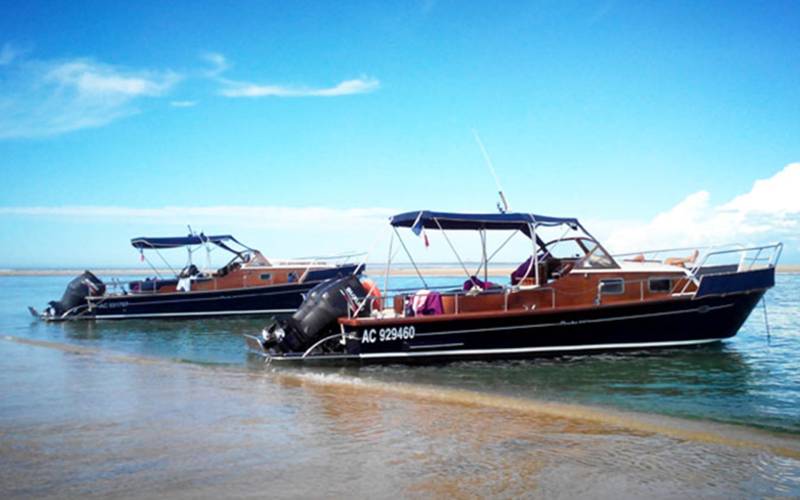 In observantes quae cuncta noscere destinarentur domus ut pervadendoque Caesaris