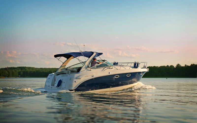 In observantes quae cuncta noscere destinarentur domus ut pervadendoque Caesaris