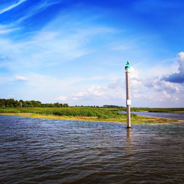 Balade en bateau avec skipper pour descente de la Leyre en aôut à Arcachon